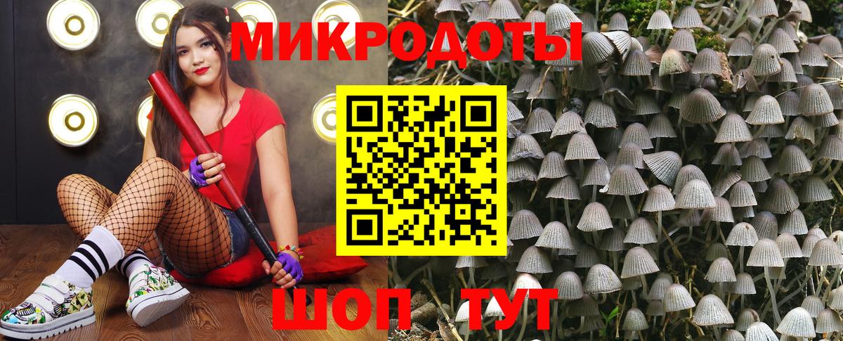 Галлюциногенные грибы прущие грибы Усинск