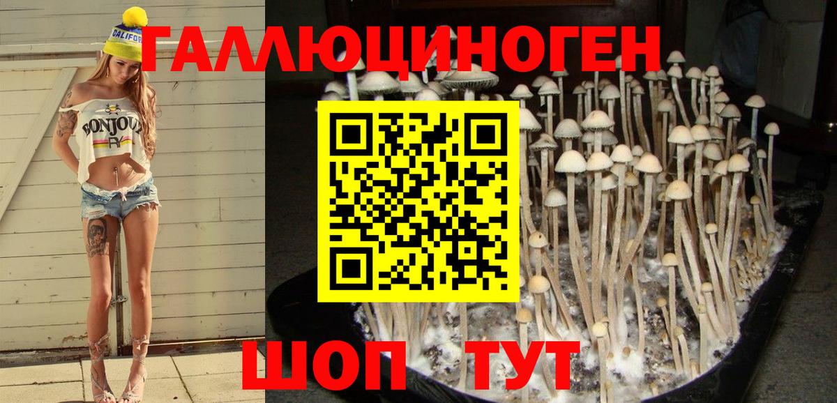 Усинск  Галлюциногенные грибы мицелий  Вход с VPN 